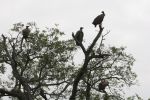 safrica_dec_13_image48.jpg